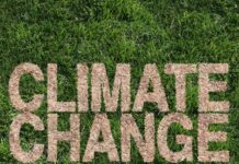 Climate Change and Youth: The Role of Students in Protecting the Planet Climate Change poster - University of Rawalpindi