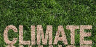 Climate Change and Youth: The Role of Students in Protecting the Planet Climate Change poster - University of Rawalpindi