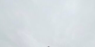 UI GreenMetric World University Rankings 2025: University of Rawalpindi Achieves a Major Sustainability Milestone Exterior view of University of Rawalpindi City Campus